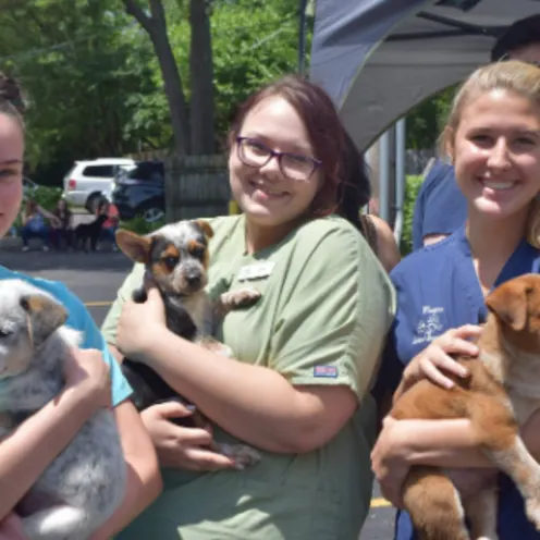 Staff Members Holding Dogs